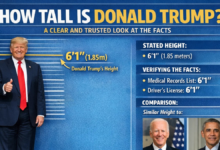 How Tall Is Donald Trump