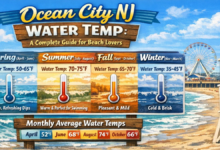 Ocean City NJ Water Temp
