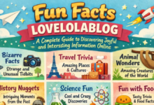 Fun Facts Lovelolablog